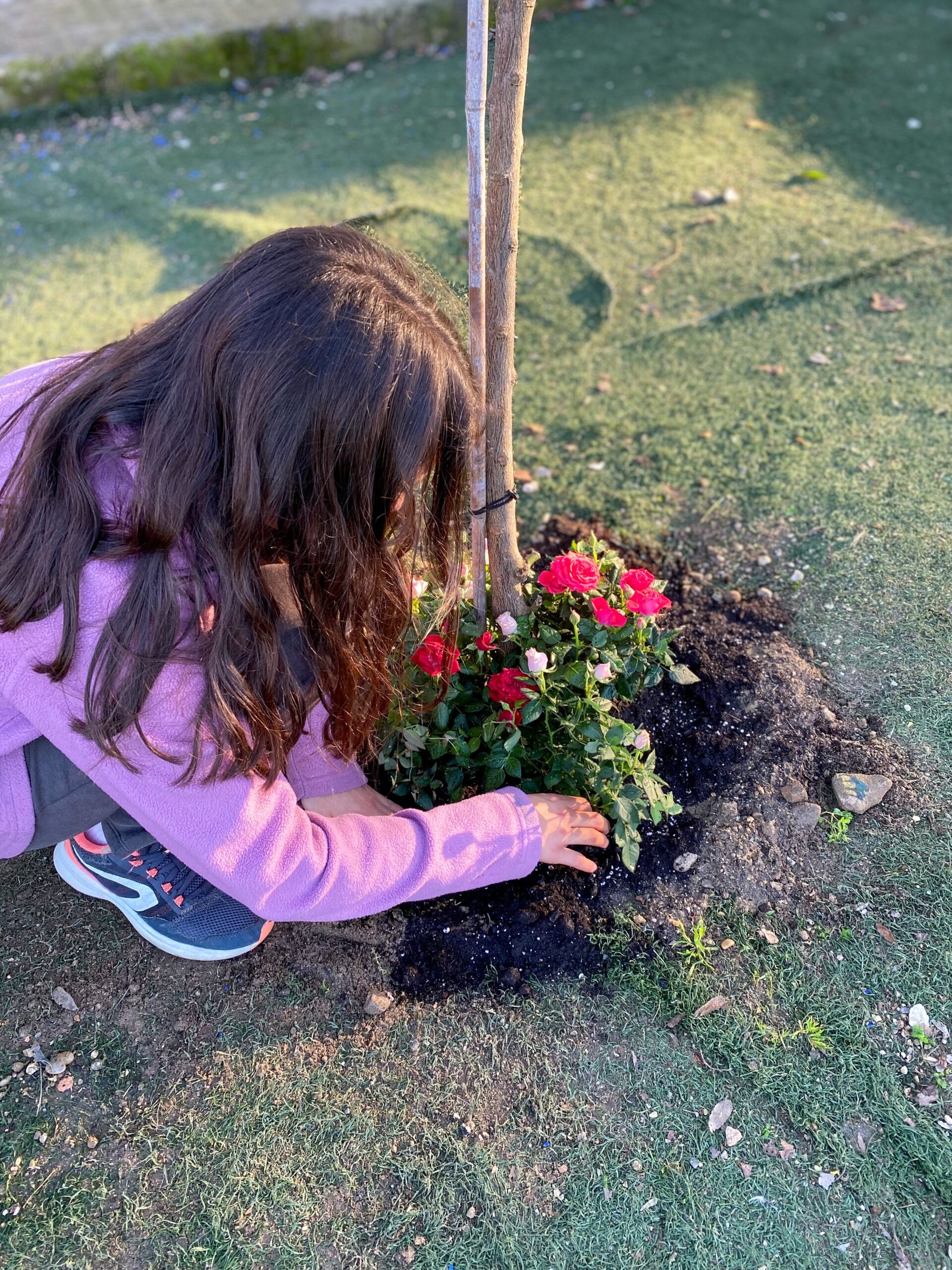 Taller de naturaleza y jardinería
