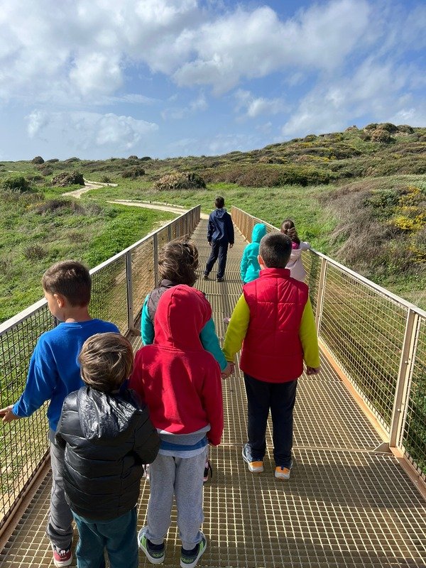Excursiones en el campus de verano